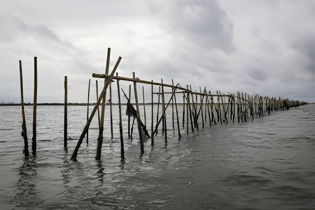 Foto pagar laut di tangerang oleh Regional Kompas