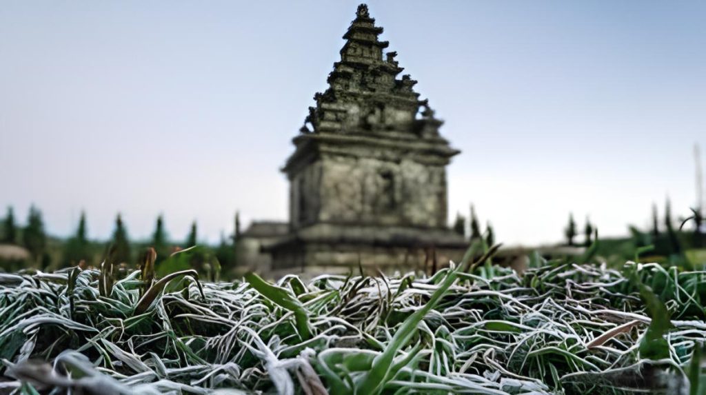 Foto salju putih yang menutupi rerumputan di kompleks Candi Arjuno Dieng oleh BBC
